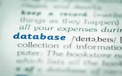 What Is a Database and How It Stores Your Data