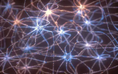 What Is a Neural Network Explained in Plain English