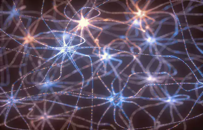 What Is a Neural Network Explained in Plain English